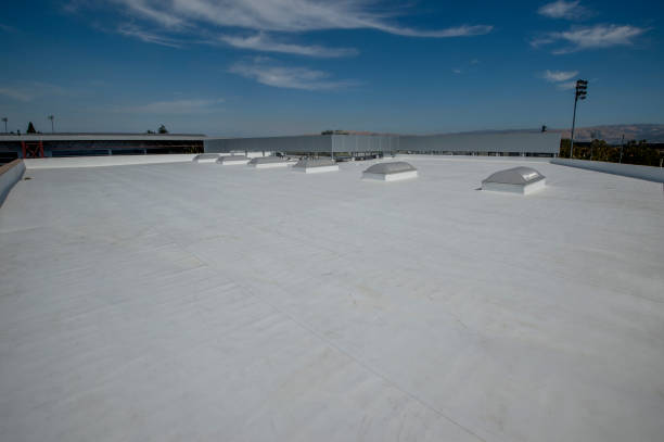 Best Roof Maintenance and Cleaning  in Gerdine, AL